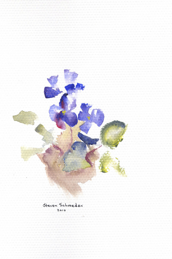 violets by Steven Schroeder
