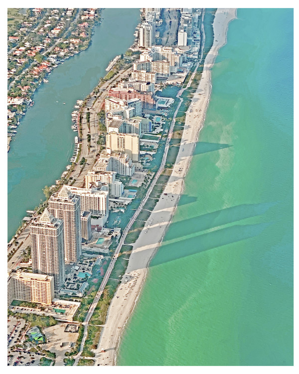 Miami Beach  Aqua Version by joann