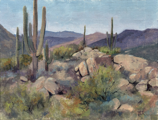 Brown's Ranch at McDowell Mountain by Nancy Romanovsky