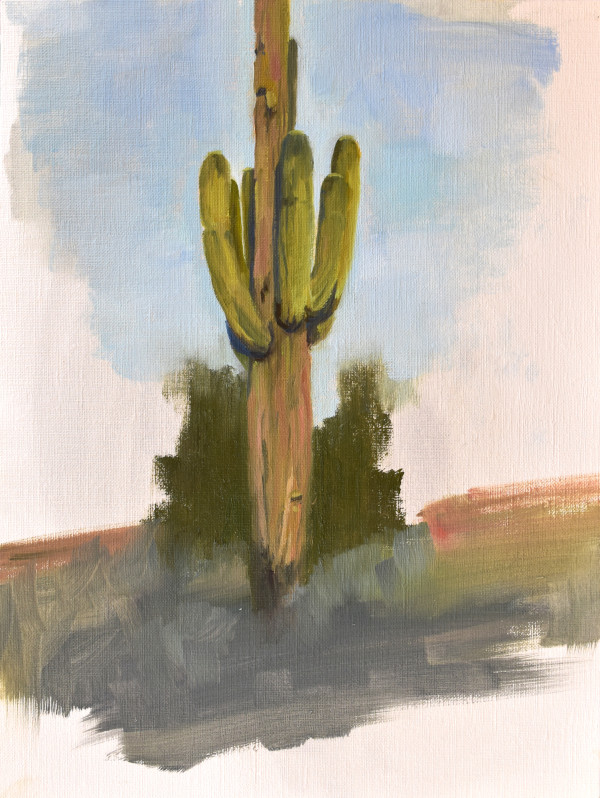 Cactus practice by Nancy Romanovsky