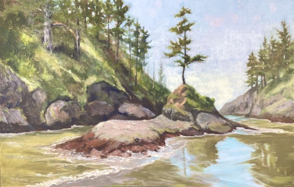 The Cove Guard by Nancy Romanovsky