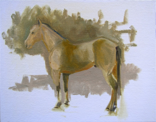 Buckskin horse study by Nancy Romanovsky