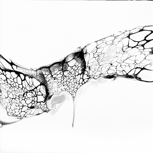 Hidden Architecture 1 by Simone Rioux, Image 1.