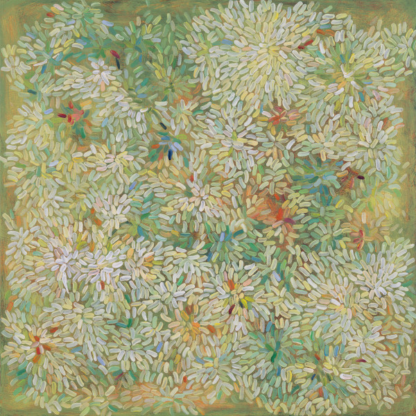 Achillea by Jill Christian
