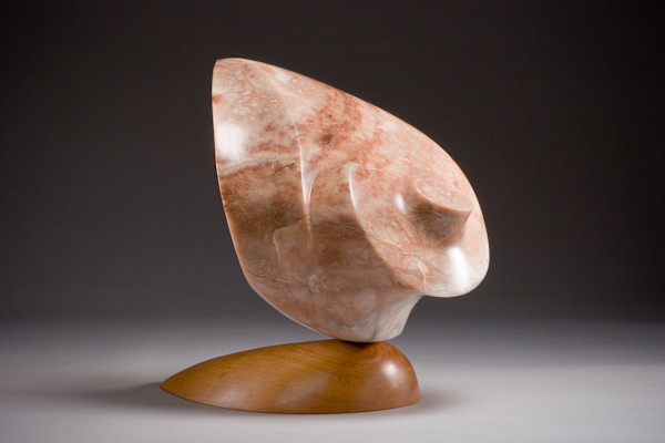49 by Michael Warrick