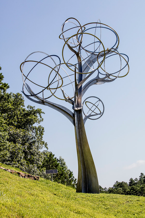 Mockingbird Tree by Michael Warrick