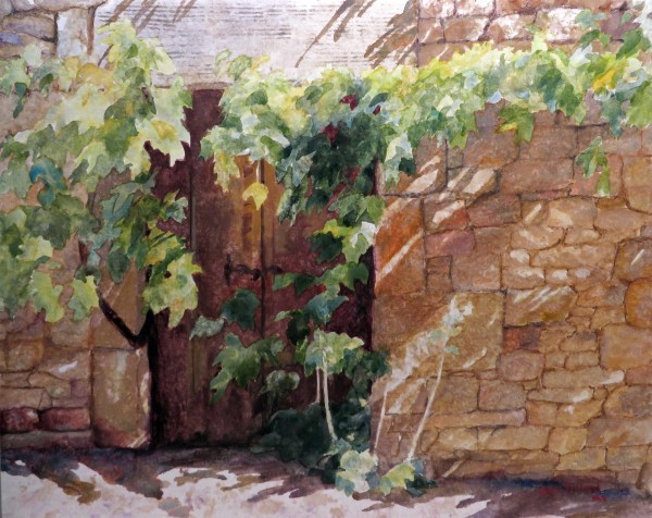 Provence Vine Shadows by Jann Lawrence Pollard
