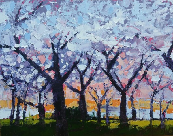 Cherry Blossoms III by Sally Veach