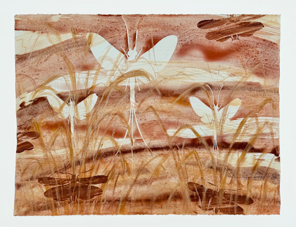 Red Mo #6 | Mayfly, Stonefly by Sally Veach, Image 1.
