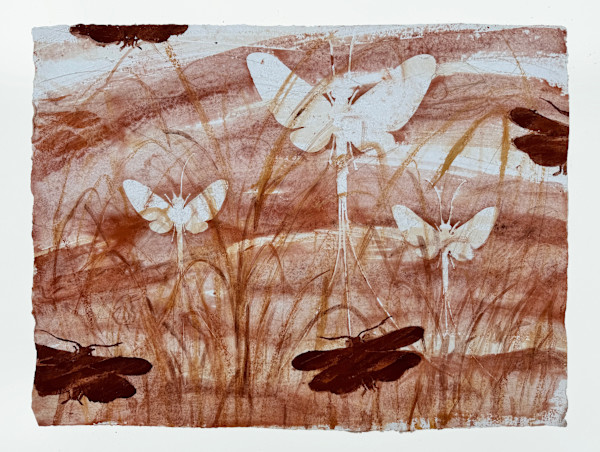 Red Mo #7 | Mayfly, Stonefly by Sally Veach, Image 1.