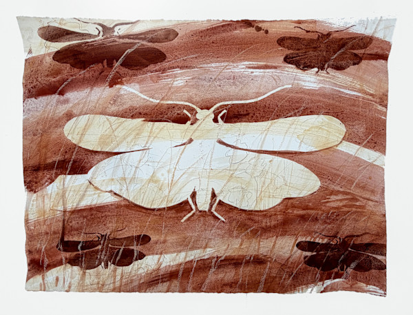 Red Mo #11 | Stonefly by Sally Veach, Image 1.