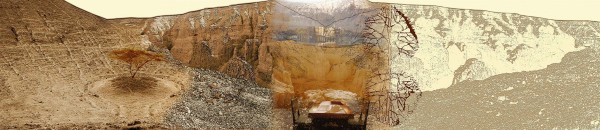 המאוחדת הגדולה 2008 - עותק by Dorit Feldman Legacy Fund