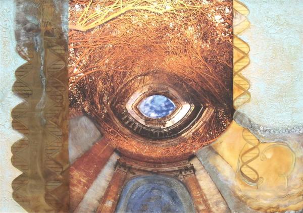 Clear Vision by Dorit Feldman Legacy Fund