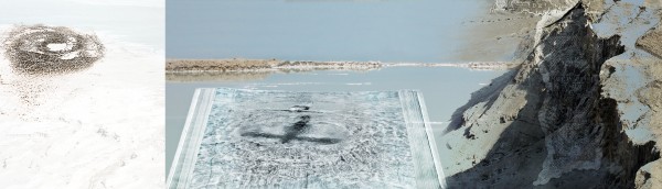 Genetic Imprints by Dorit Feldman Legacy Fund