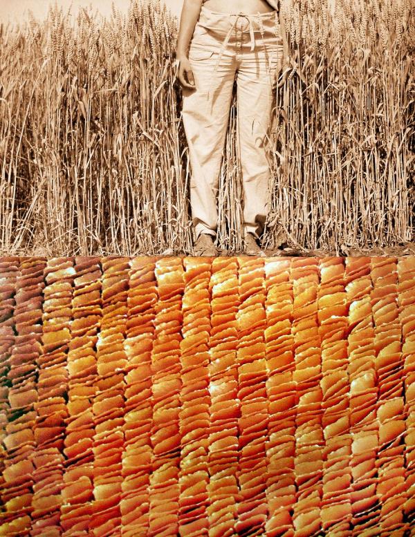 From the series 'Body Art' - Grains by Dorit Feldman Legacy Fund