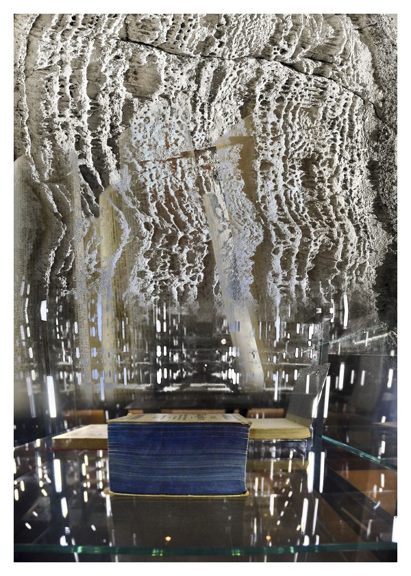 Poetic Archives - I by Dorit Feldman Legacy Fund