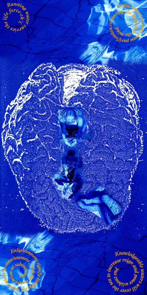 unfolding streams by Dorit Feldman Legacy Fund