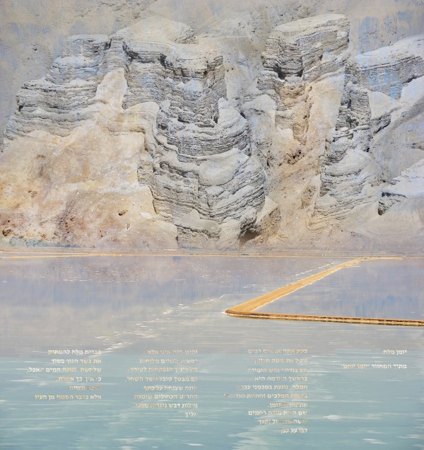 Salt Diary by Dorit Feldman Legacy Fund