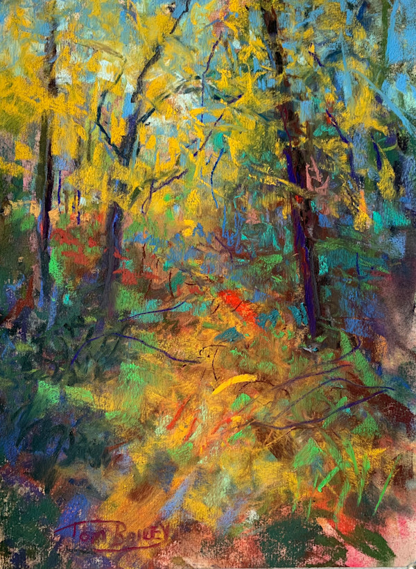 Be Where You Are by Tom Bailey, Image 2.