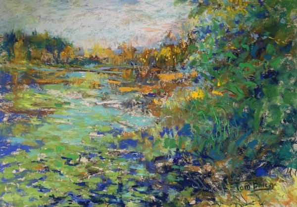 Zinging Marsh by Tom Bailey