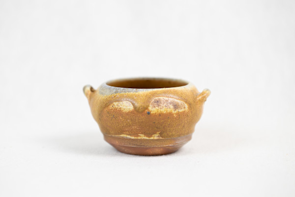 Wild Pigment Vessel 2025.05.43 by emma estelle chambers