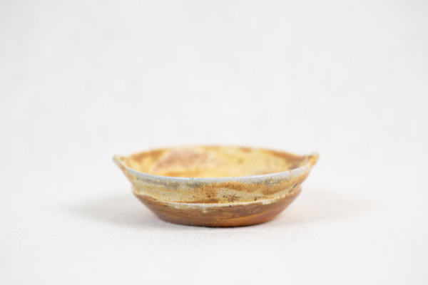 Wild Pigment Vessel 2025.05.23 by emma estelle chambers