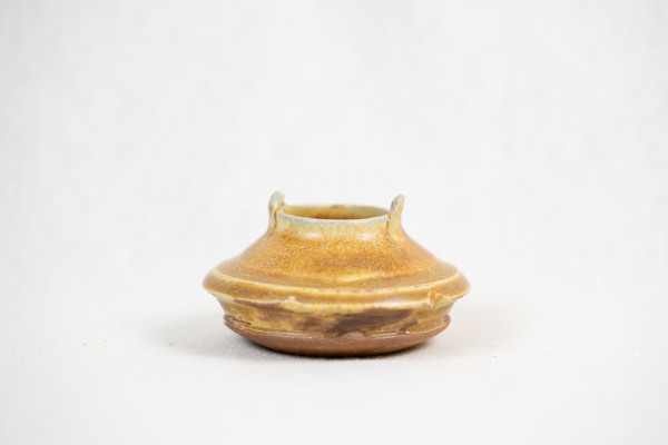 Wild Pigment Vessel 2025.05.36 by emma estelle chambers