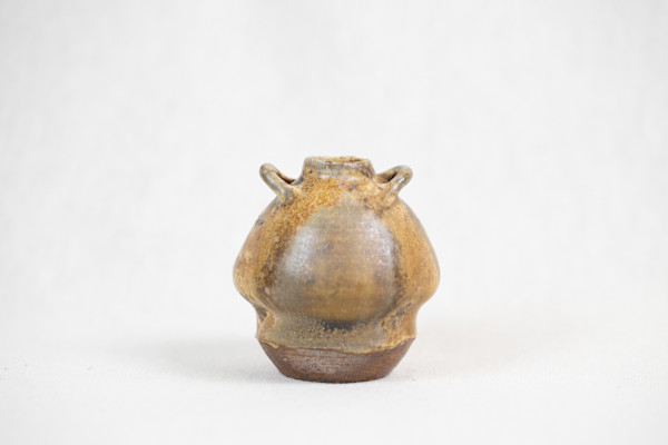 Wild Pigment Vessel 2025.05.38 by emma estelle chambers