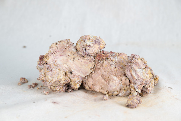 Wild Clay Pink by emma estelle chambers, Image 1.