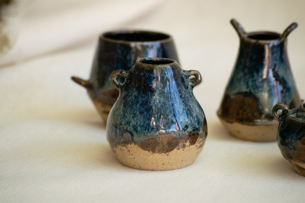 wild pigment vessels by emma estelle chambers