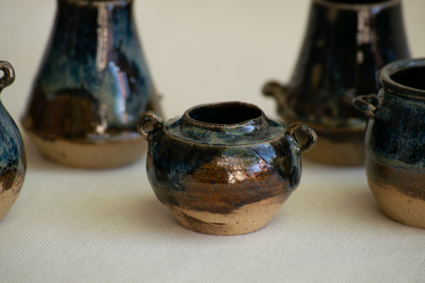 wild pigment vessels by emma estelle chambers