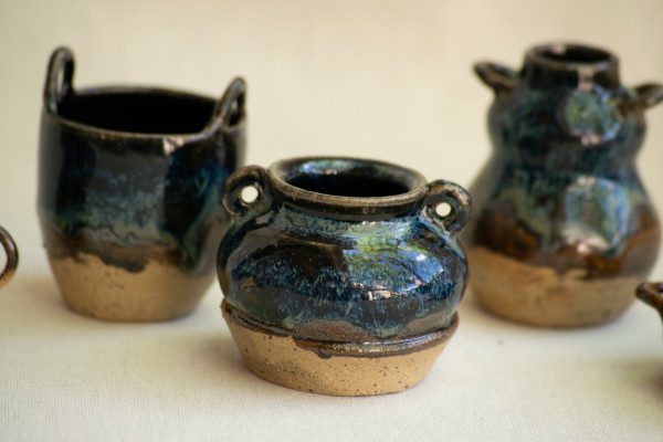 wild pigment vessels by emma estelle chambers