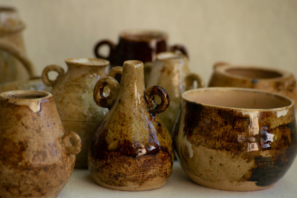 wild pigment vessels by emma estelle chambers