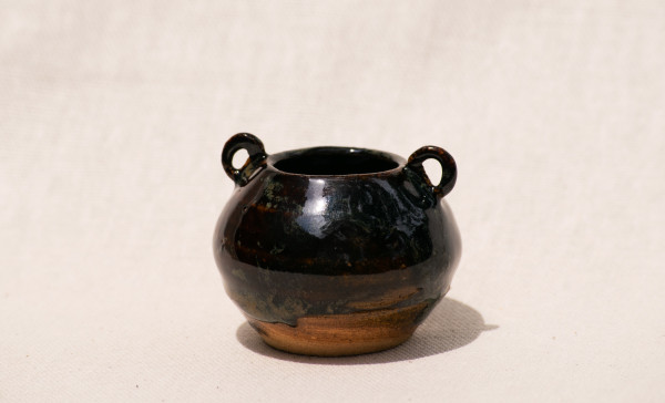 wild pigment vessel by emma estelle chambers