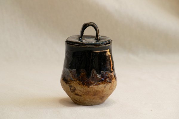 wild pigment jar by emma estelle chambers