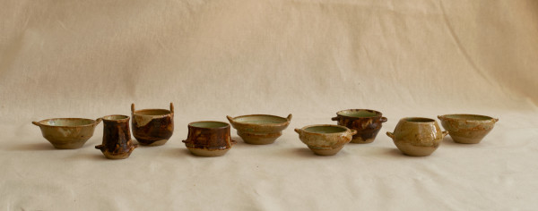 wild pigment vessels by emma estelle chambers
