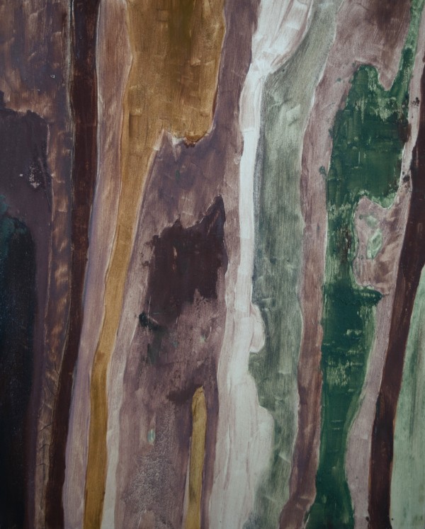 Wild Pigment Painting 02 by emma estelle chambers