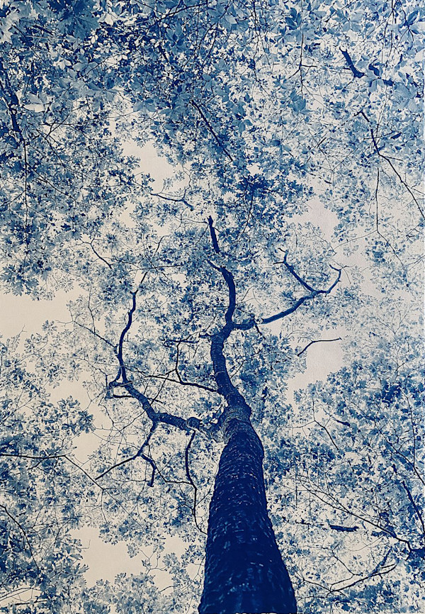 Edna St Vincent Milay, 28 x 36, Edition 3 of 5 by Dora Somosi