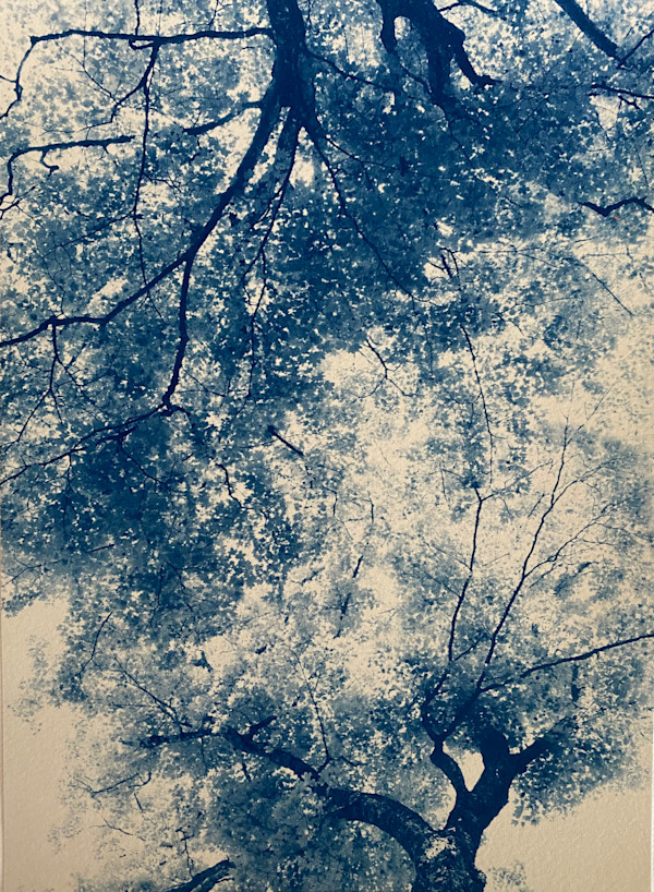 Edith Wharton , By Her Side, Edition 2 of 5 by Dora Somosi