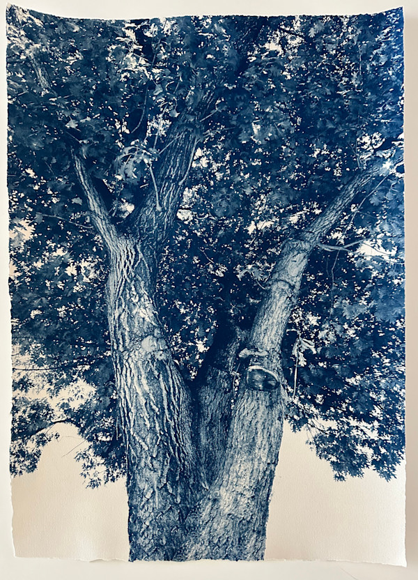 By Her Side, Alma Thomas, Edition 1 of 5 by Dora Somosi