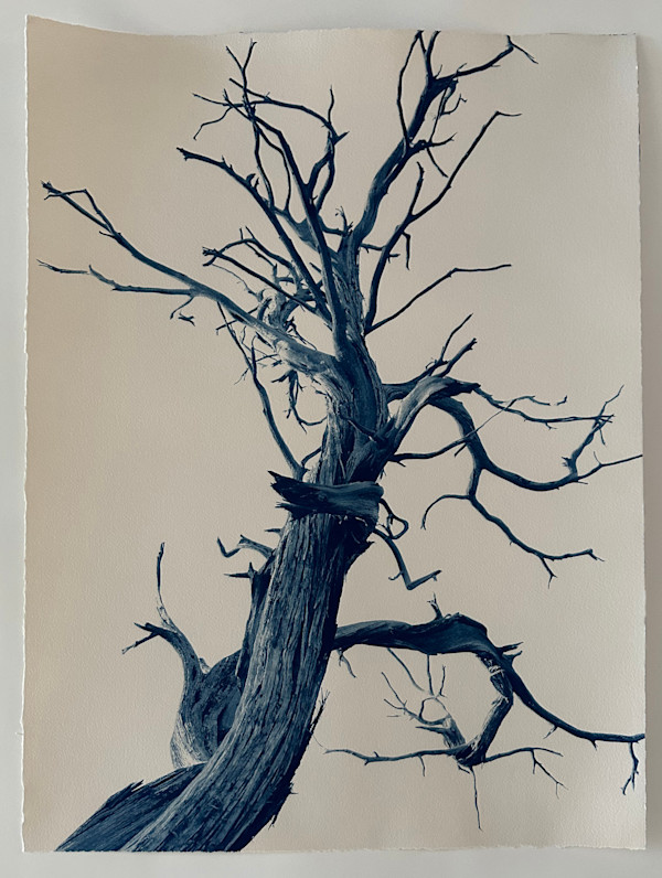 By Her Side, Georgia O'Keeffe, Edition 2 of 5 by Dora Somosi