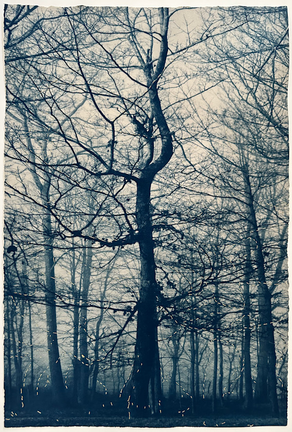 Mending Quiet by Dora Somosi