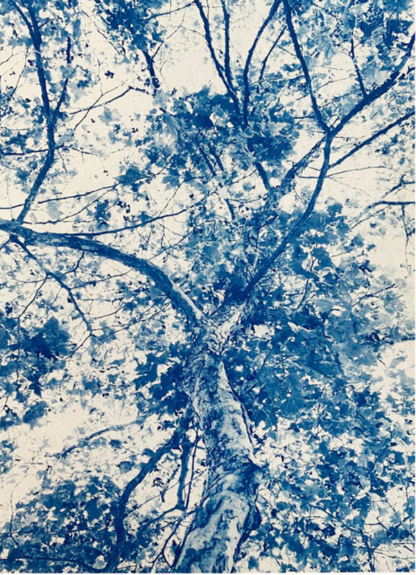 Dorothea Lange, 26 x 18, Edition 1 of 5 by Dora Somosi