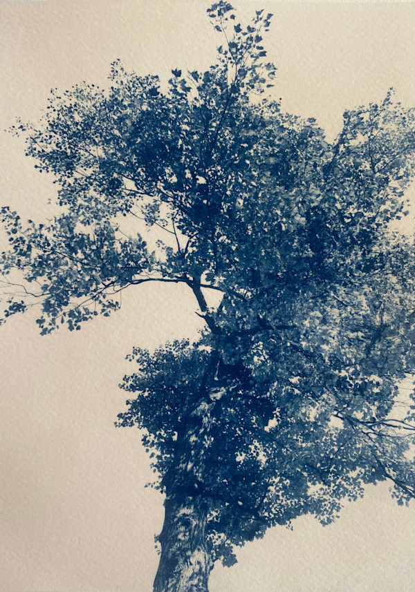 Toni Morrison, By Her Side 1/5 by Dora Somosi