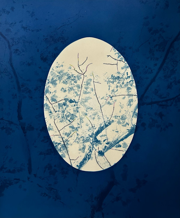 Mending London Plane, Unique by Dora Somosi