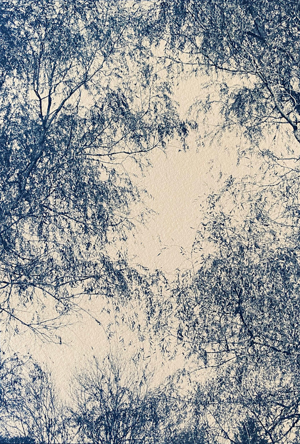 Willow Tree, Edition 1 of 5 by Dora Somosi