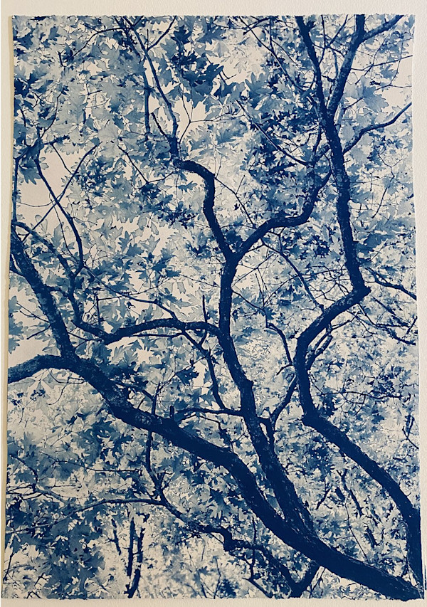 Wilma Dykeman, 26 x 38, Edition 3 of 5 by Dora Somosi