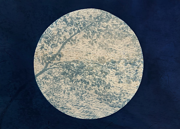 Mending Holly by Dora Somosi