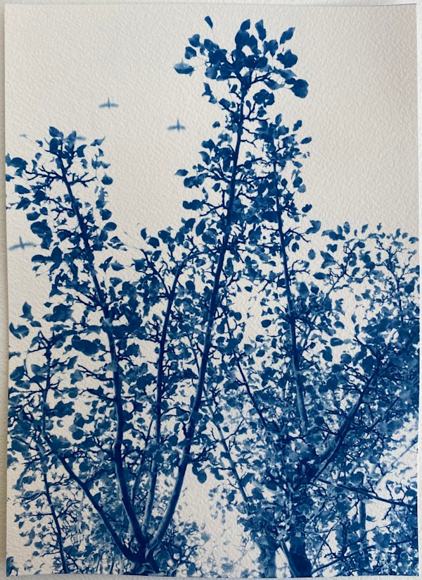 Agnes Martin by Dora Somosi