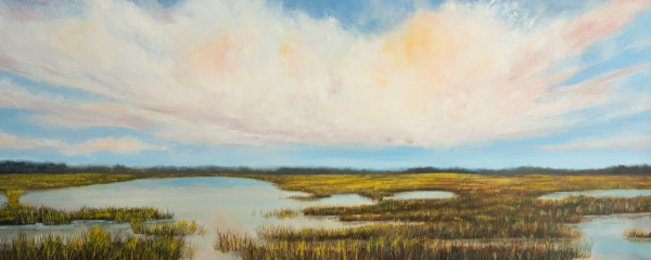 Broster's Marsh by Dee Fairweather